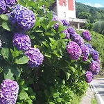 With Panoramic View & Terrace In Pino, Maggiore - Casa Roccia No 7 アパート