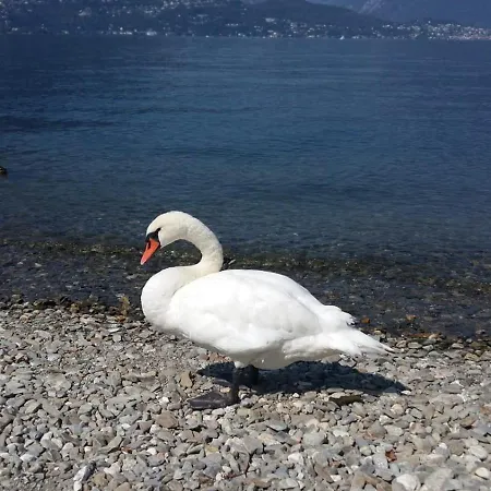 Apartment Casa Roccia