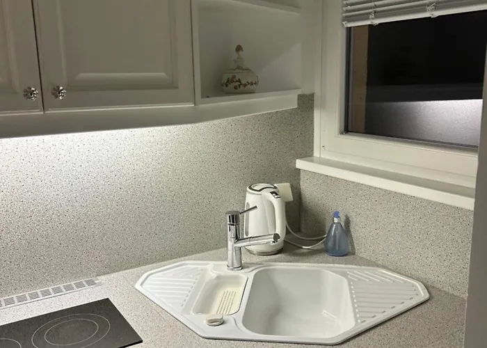 דירה With Panoramic View & Terrace In Pino, Maggiore - Casa Roccia No 7